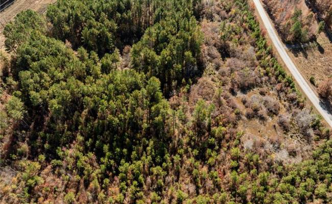 24.5ac Little Mill Road, Sussex County, VA 23882