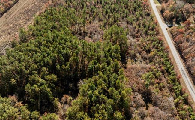 24.5ac Little Mill Road, Sussex County, VA 23882