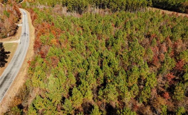 24.5ac Little Mill Road, Sussex County, VA 23882