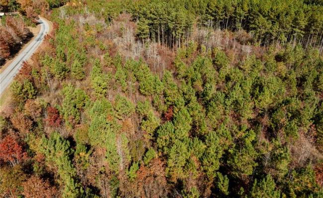 24.5ac Little Mill Road, Sussex County, VA 23882