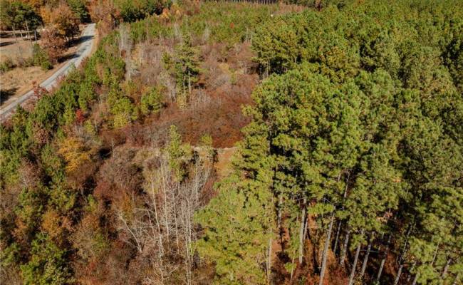 24.5ac Little Mill Road, Sussex County, VA 23882