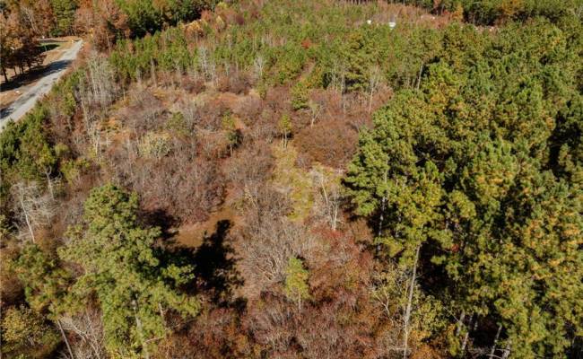 24.5ac Little Mill Road, Sussex County, VA 23882