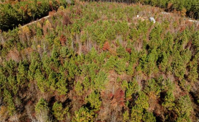 24.5ac Little Mill Road, Sussex County, VA 23882