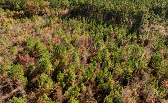 24.5ac Little Mill Road, Sussex County, VA 23882