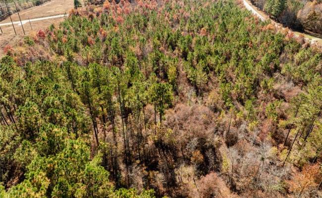 24.5ac Little Mill Road, Sussex County, VA 23882