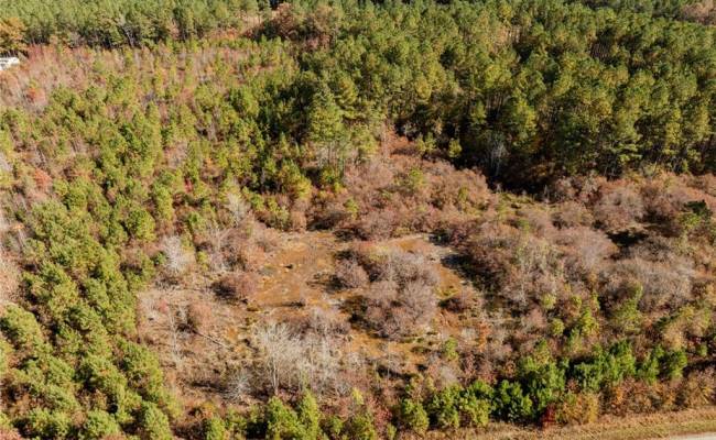 24.5ac Little Mill Road, Sussex County, VA 23882