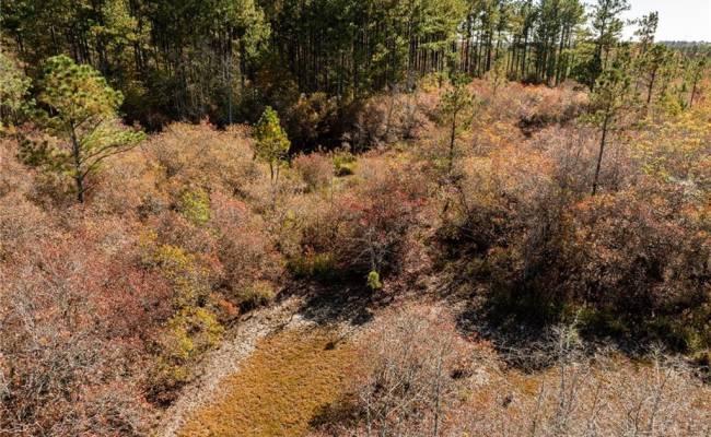24.5ac Little Mill Road, Sussex County, VA 23882