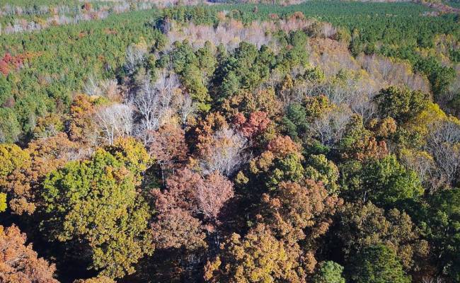 15ac Hills Drive, Dinwiddie County, VA 23840