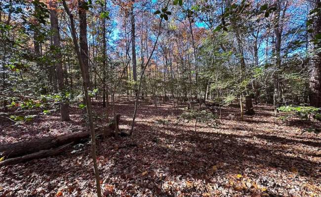 15ac Hills Drive, Dinwiddie County, VA 23840