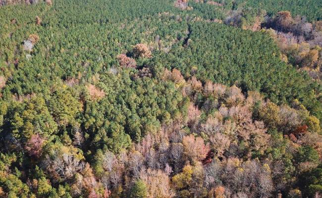 15ac Hills Drive, Dinwiddie County, VA 23840