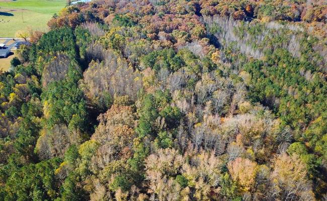 15ac Hills Drive, Dinwiddie County, VA 23840