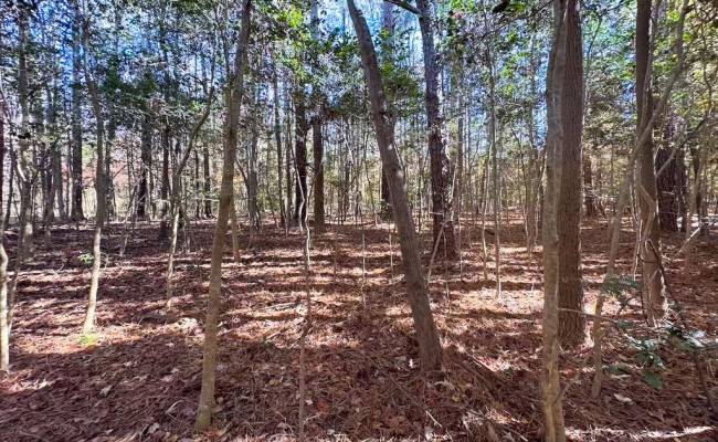 15ac Hills Drive, Dinwiddie County, VA 23840