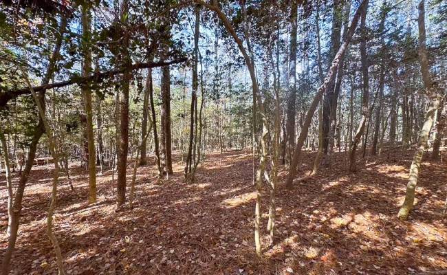 15ac Hills Drive, Dinwiddie County, VA 23840