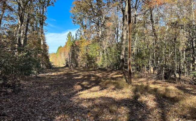 15ac Hills Drive, Dinwiddie County, VA 23840