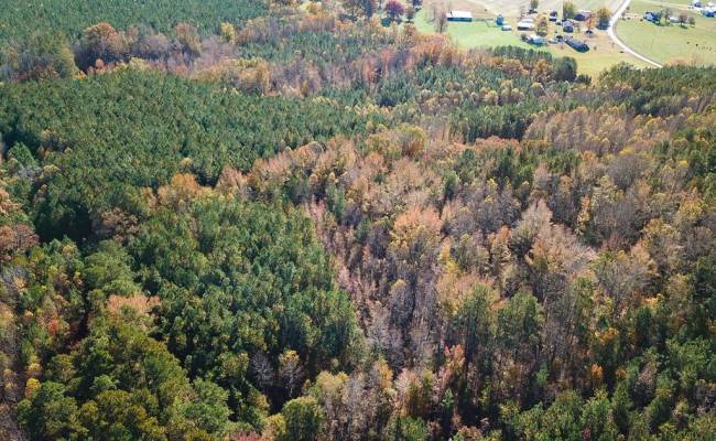 15ac Hills Drive, Dinwiddie County, VA 23840