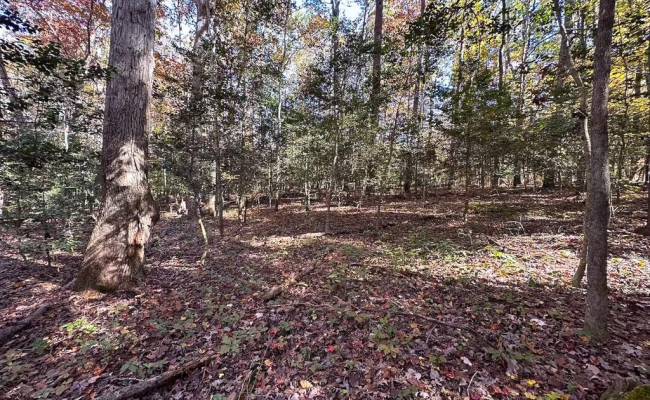 15ac Hills Drive, Dinwiddie County, VA 23840