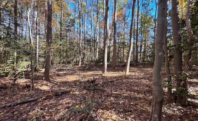 15ac Hills Drive, Dinwiddie County, VA 23840
