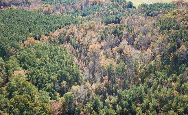 15ac Hills Drive, Dinwiddie County, VA 23840