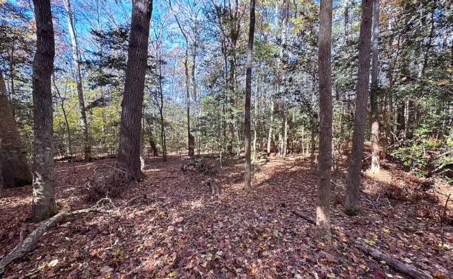 15ac Hills Drive, Dinwiddie County, VA 23840