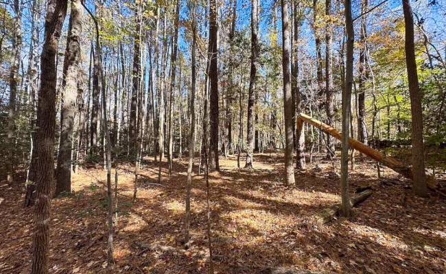 15ac Hills Drive, Dinwiddie County, VA 23840