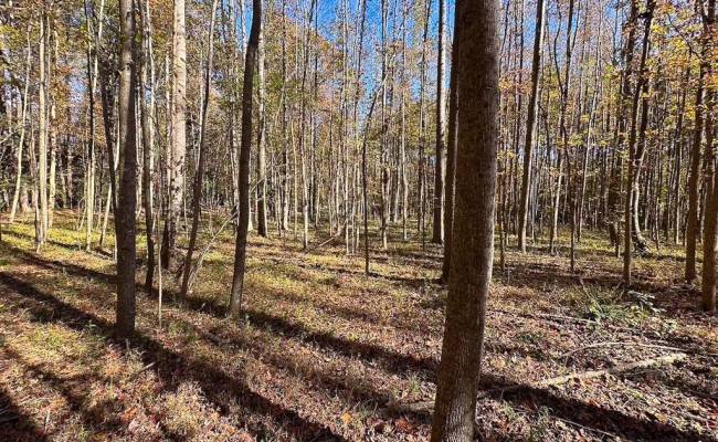 15ac Hills Drive, Dinwiddie County, VA 23840