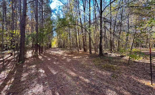 15ac Hills Drive, Dinwiddie County, VA 23840