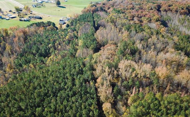 15ac Hills Drive, Dinwiddie County, VA 23840