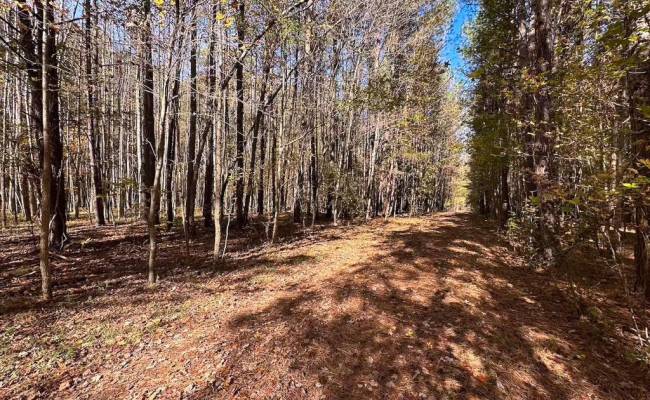 15ac Hills Drive, Dinwiddie County, VA 23840