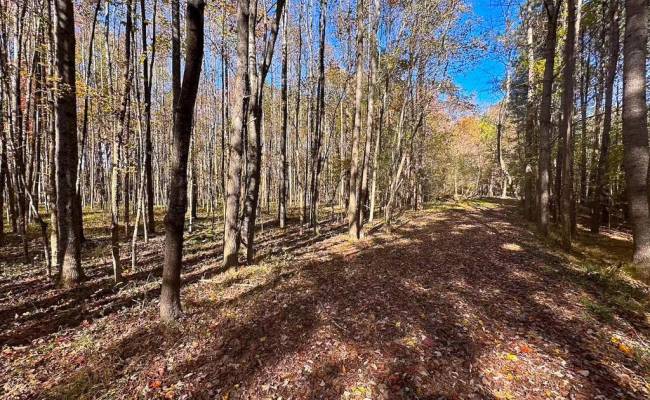 15ac Hills Drive, Dinwiddie County, VA 23840