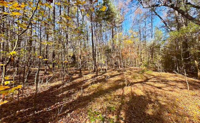 15ac Hills Drive, Dinwiddie County, VA 23840