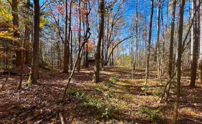 15ac Hills Drive, Dinwiddie County, VA 23840