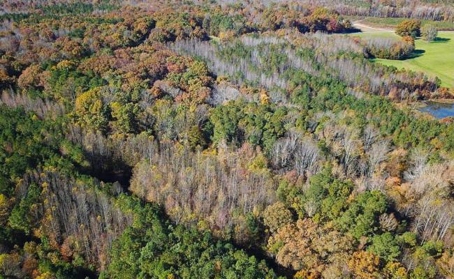 15ac Hills Drive, Dinwiddie County, VA 23840