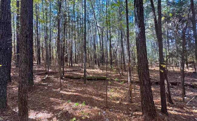 15ac Hills Drive, Dinwiddie County, VA 23840