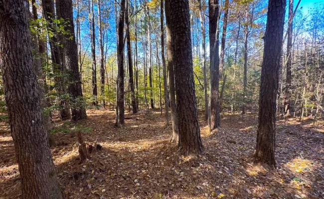 15ac Hills Drive, Dinwiddie County, VA 23840