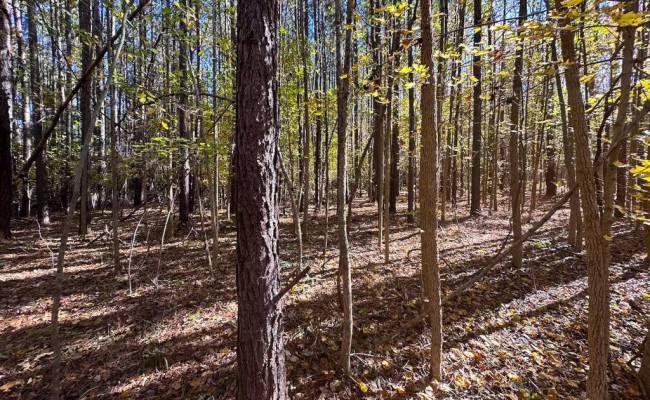 15ac Hills Drive, Dinwiddie County, VA 23840