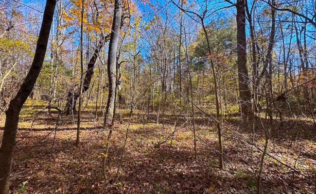 15ac Hills Drive, Dinwiddie County, VA 23840