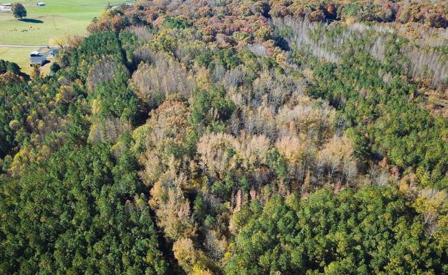 15ac Hills Drive, Dinwiddie County, VA 23840