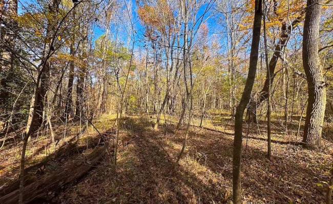 15ac Hills Drive, Dinwiddie County, VA 23840