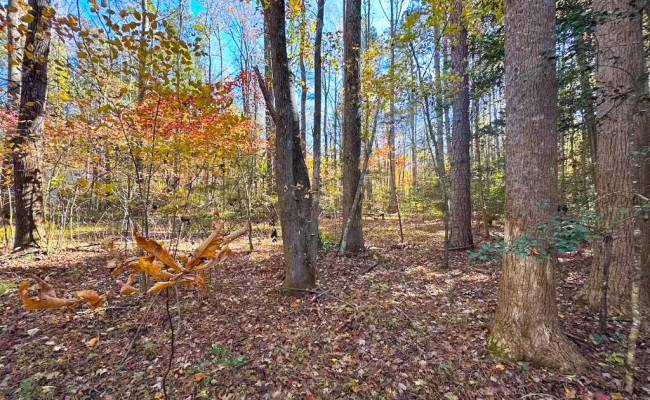 15ac Hills Drive, Dinwiddie County, VA 23840