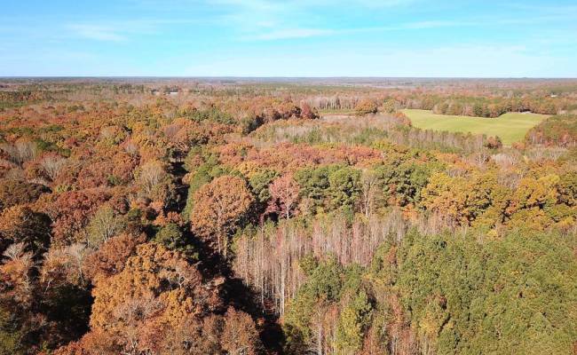 15ac Hills Drive, Dinwiddie County, VA 23840