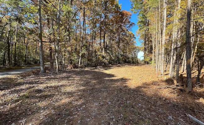 15ac Hills Drive, Dinwiddie County, VA 23840