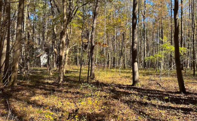 15ac Hills Drive, Dinwiddie County, VA 23840