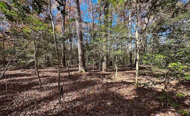 15ac Hills Drive, Dinwiddie County, VA 23840