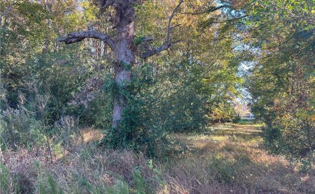 2209 Centerville Turnpike, Chesapeake, VA 23322