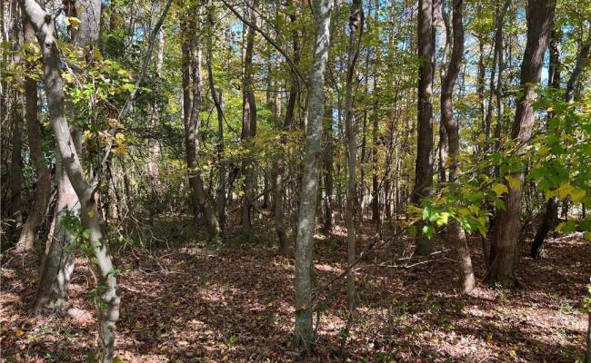 2209 Centerville Turnpike, Chesapeake, VA 23322