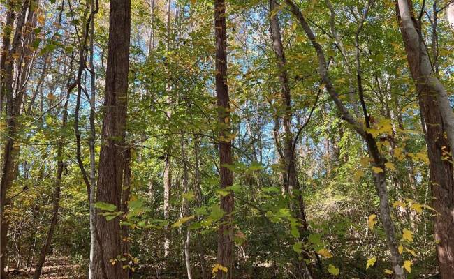 2209 Centerville Turnpike, Chesapeake, VA 23322