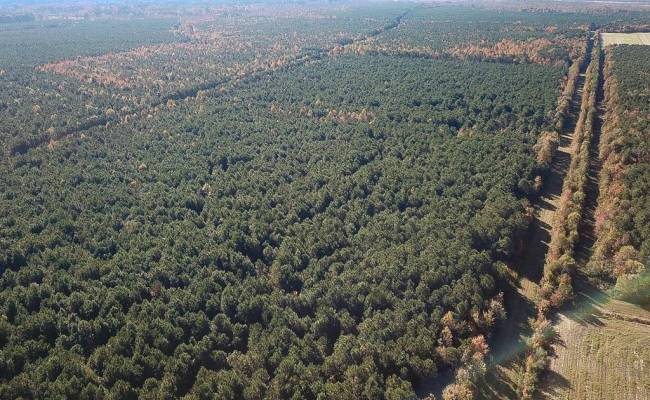 467AC Baum Road, Virginia Beach, VA 23457