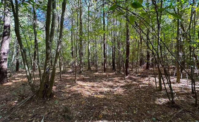 467AC Baum Road, Virginia Beach, VA 23457