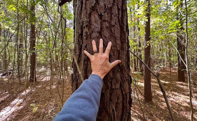 467AC Baum Road, Virginia Beach, VA 23457