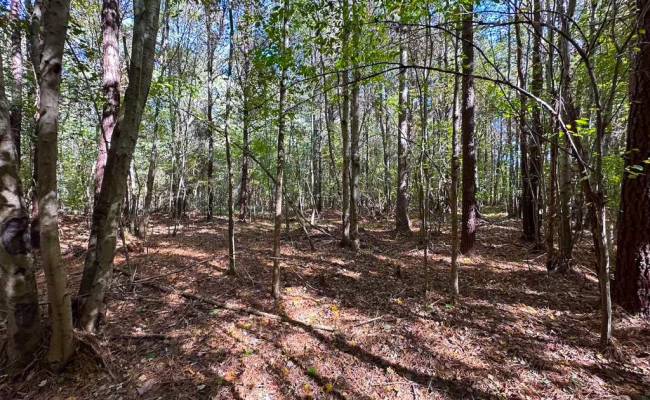 467AC Baum Road, Virginia Beach, VA 23457